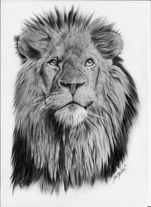 Retrato a lápiz de cabeza de león